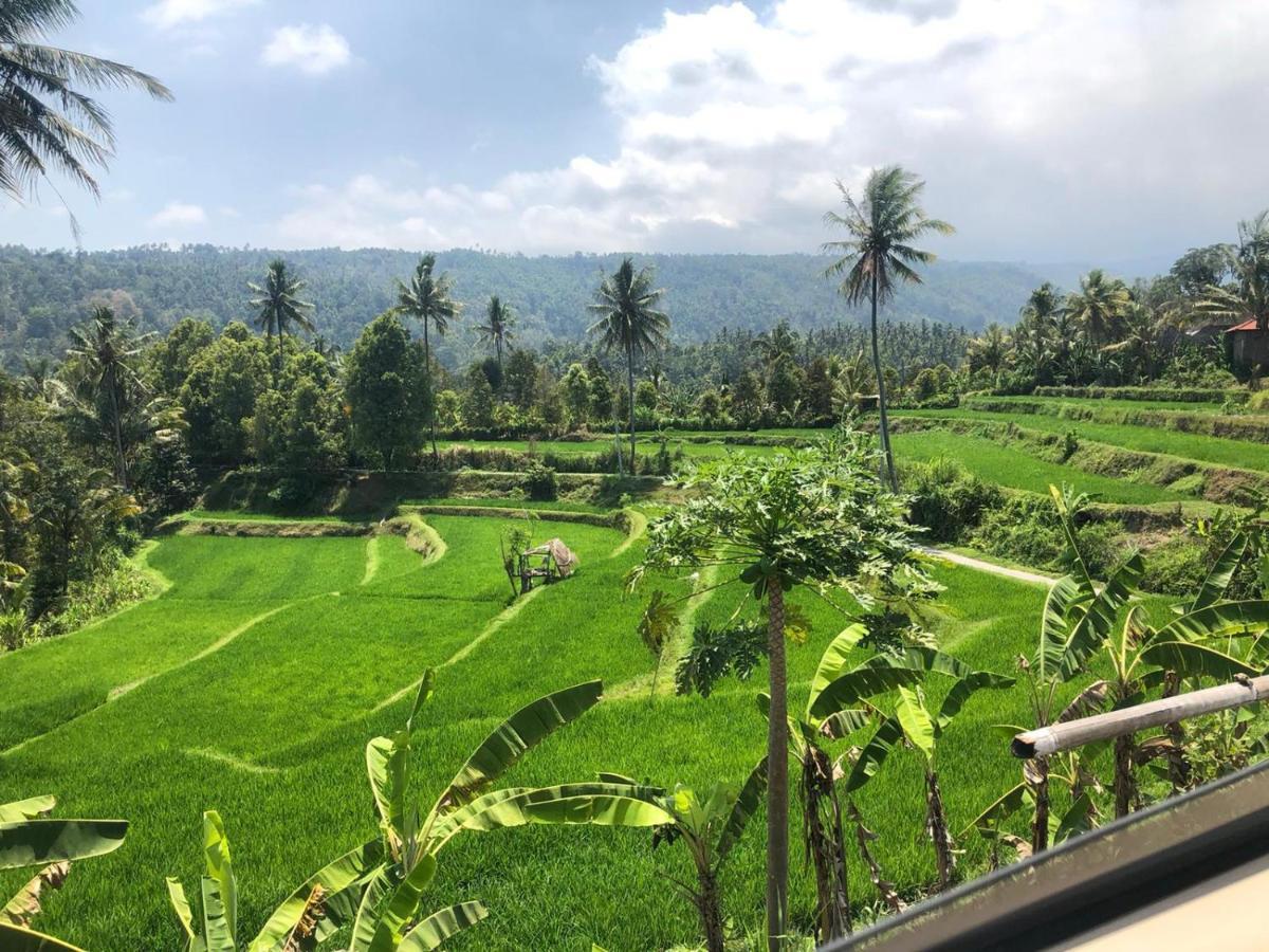 Отель Tegal Sari, Pemuteran- North Bali Экстерьер фото