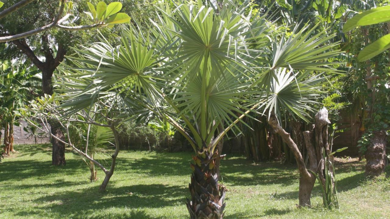 Отель Tegal Sari, Pemuteran- North Bali Экстерьер фото